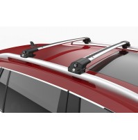 BARRE PORTATUTTO SU MISURA PER DACIA DUSTER (2018->) - RAILING STANDARD - SILVER