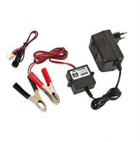 Uni Trainer, allenatore automatico per batterie 12V - 300 mA, con pinze e cavi